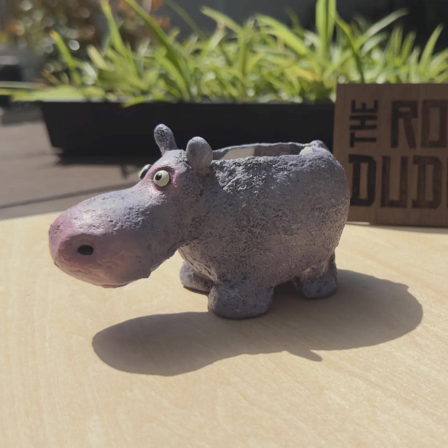 Hippo Planter | Succulent Pot
