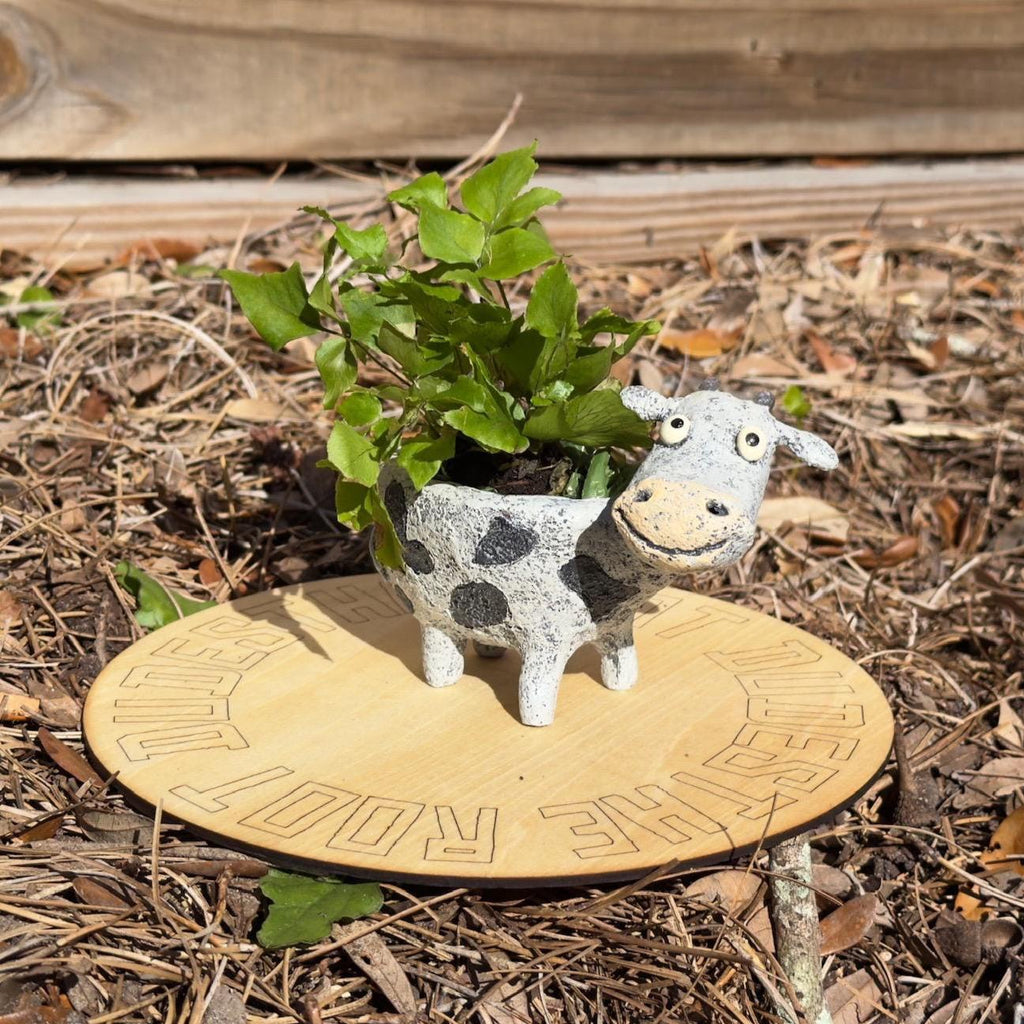 Cow Planter | Small Animal Plant Pot | Succulent Pot | Desk Decor Gift