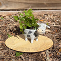 Cow Planter | Small Animal Plant Pot | Succulent Pot | Desk Decor Gift