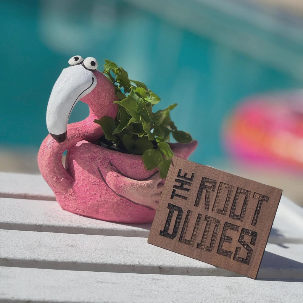 Pink Flamingo Planter | Succulent Plant Pot