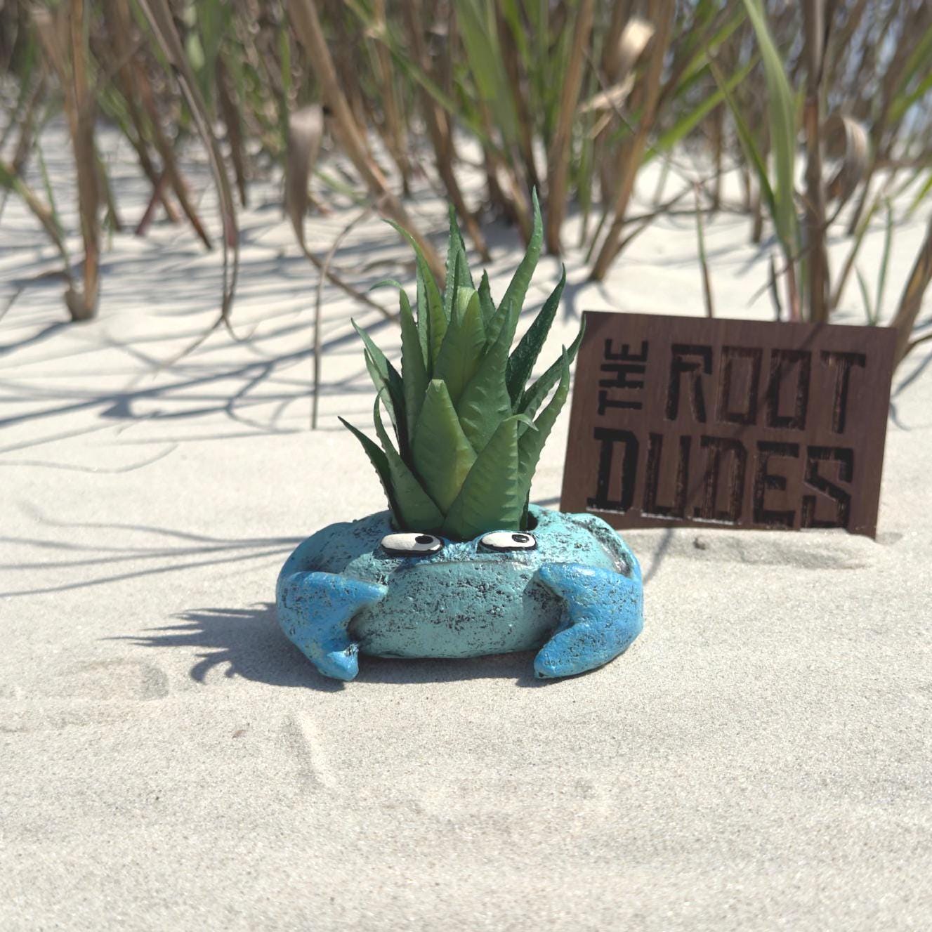 Krusty Crab Planter – Small Quirky Beach Shack Succulent Pot