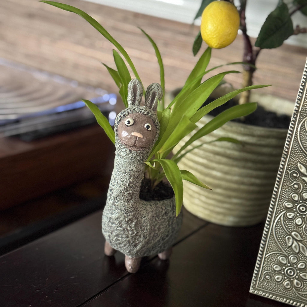 Dolly the Llama Planter | Small Succulent Pot
