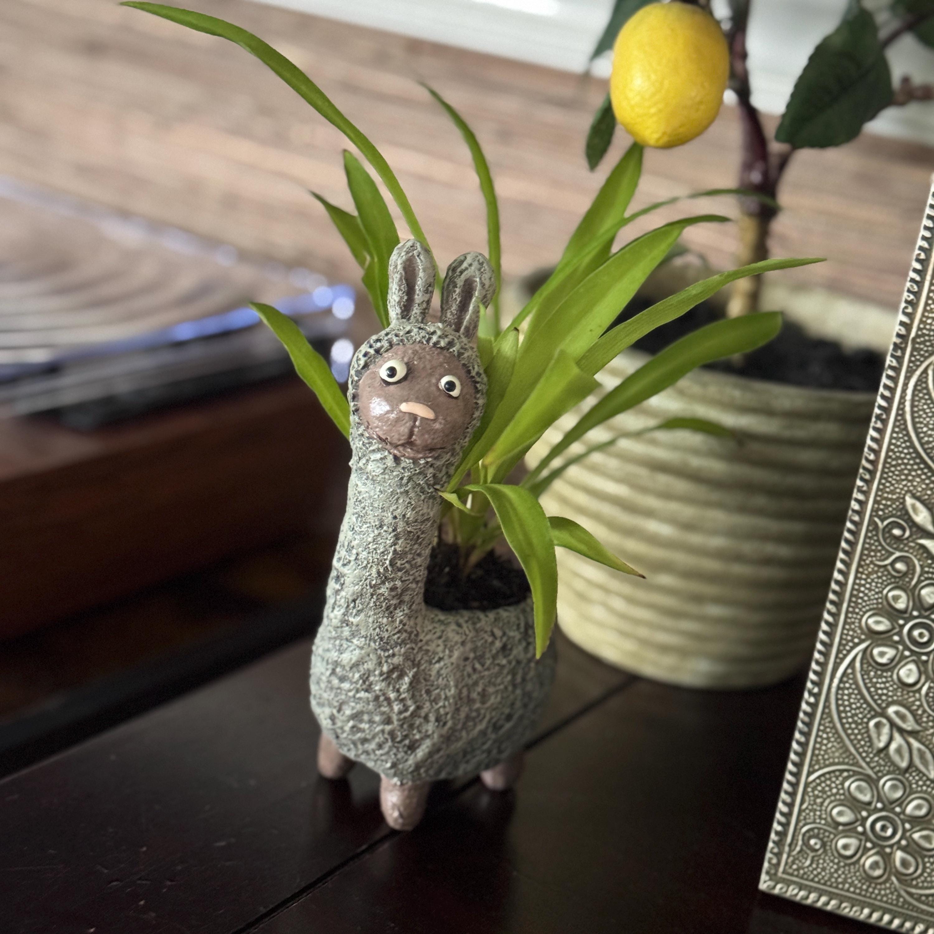 Dolly the Llama Planter | Small Succulent Pot