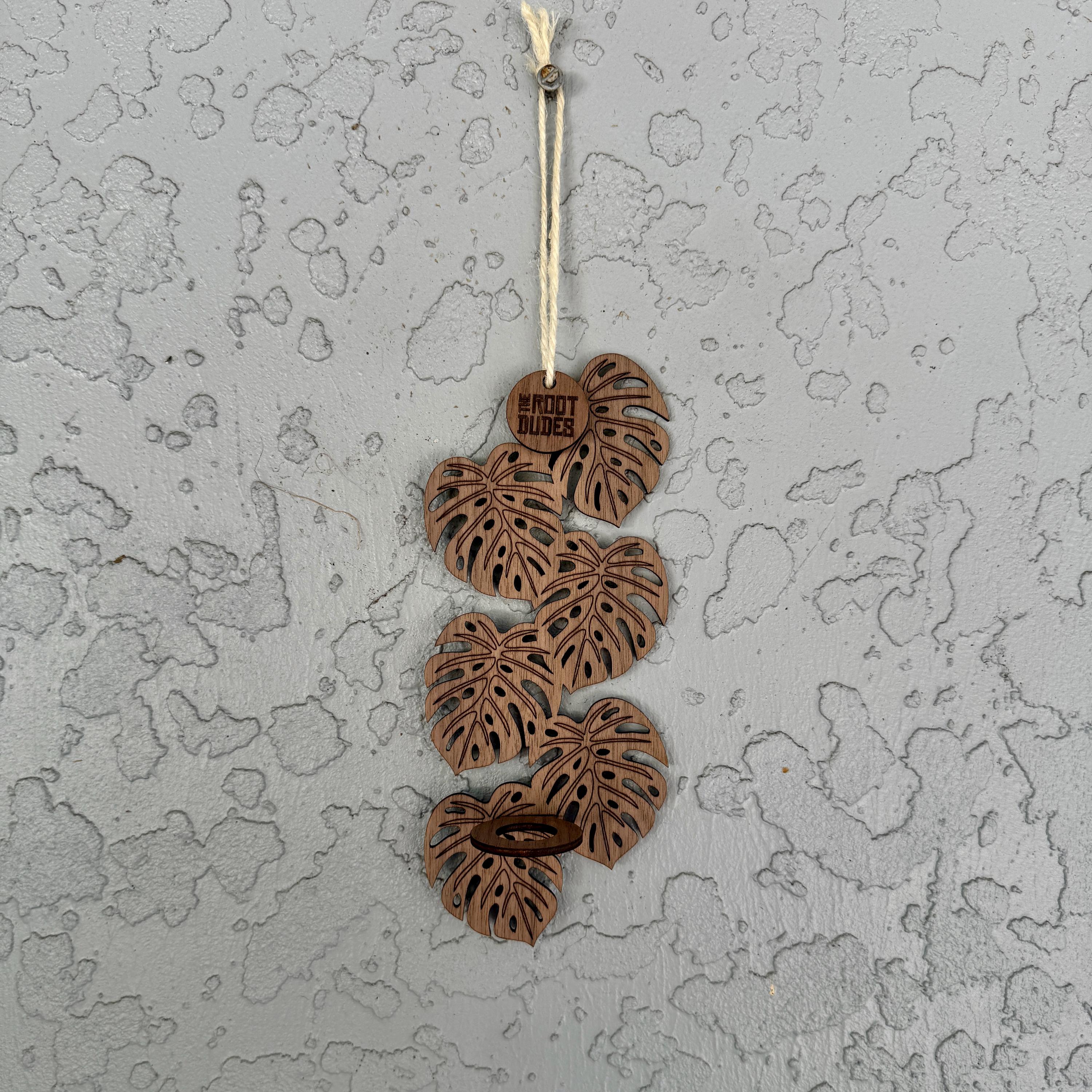 Monstera Leaf Propagation Station | Walnut Wood Wall Planter | Boho Plant Decor
