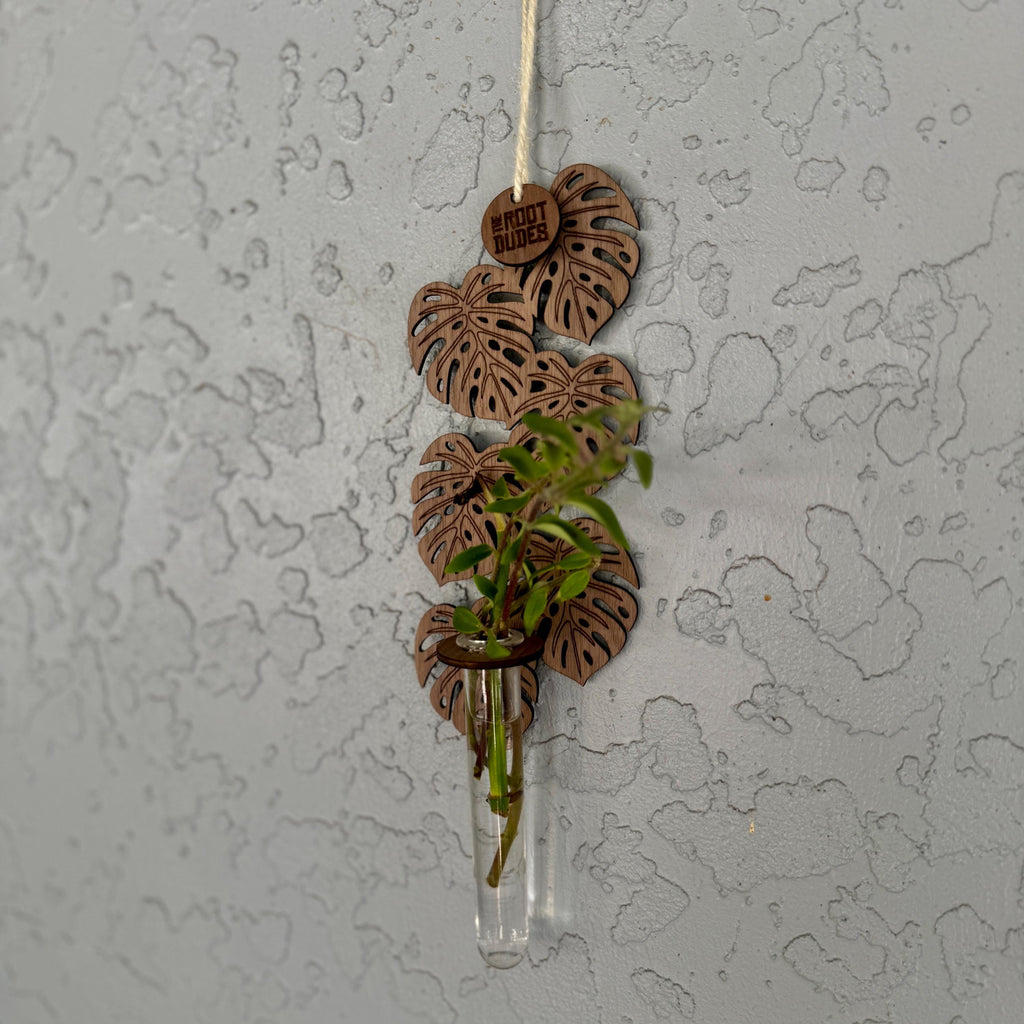 Monstera Leaf Propagation Station | Walnut Wood Wall Planter | Boho Plant Decor