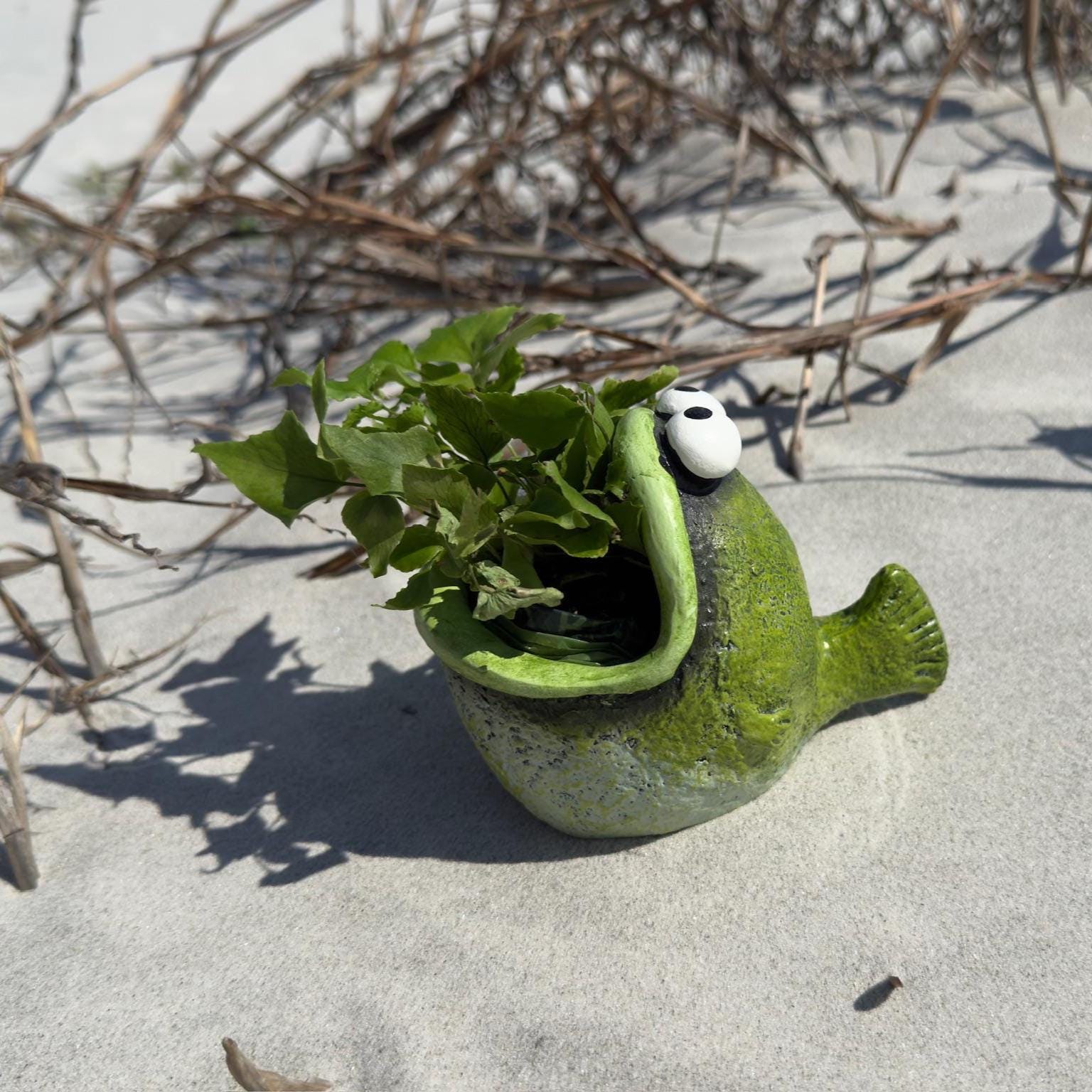 Bubba the Bass Planter | Funny Fish Indoor Planter Pot