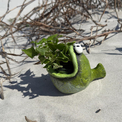 Bubba the Bass Planter | Funny Fish Indoor Planter Pot