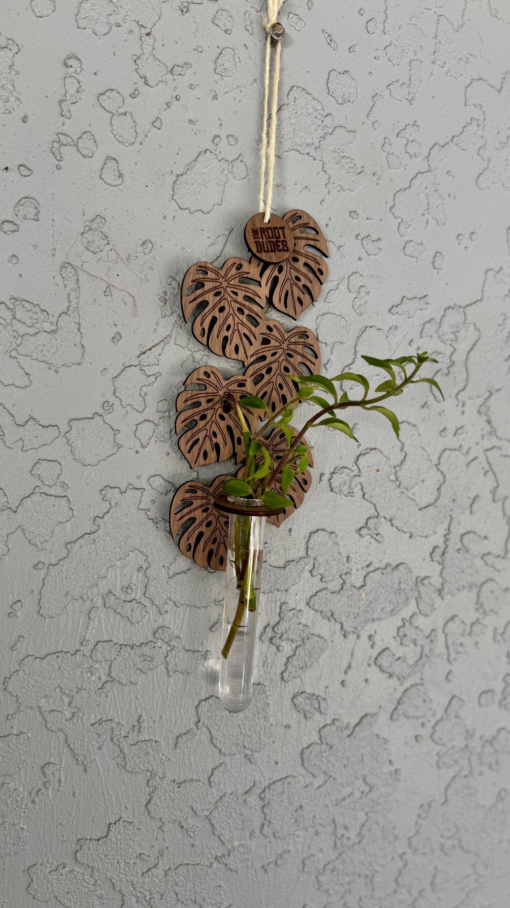 Monstera Leaf Propagation Station | Walnut Wood Wall Planter | Boho Plant Decor