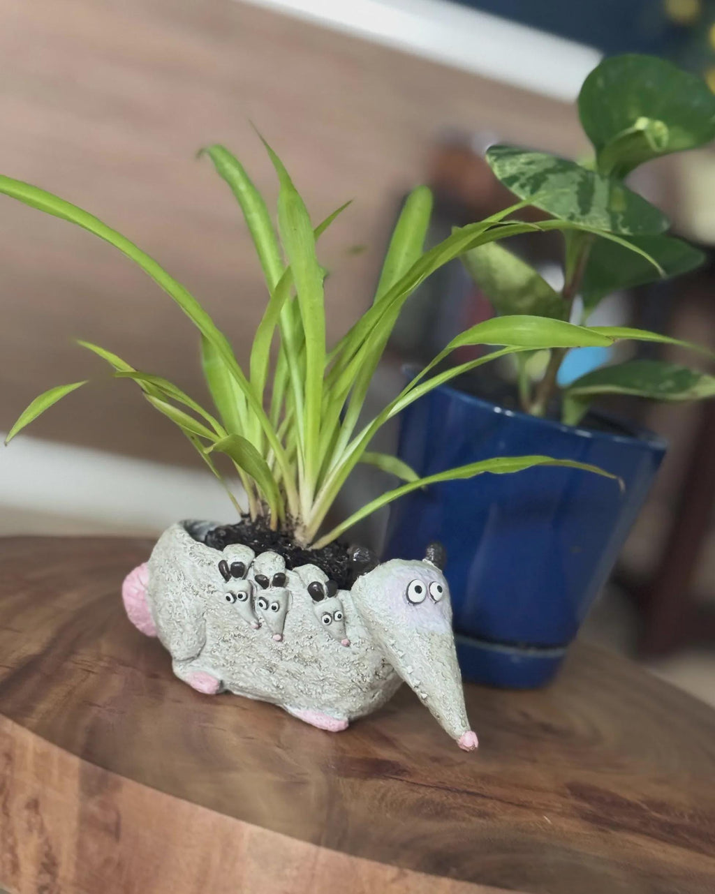Opossum Planter | Small Succulent Pot
