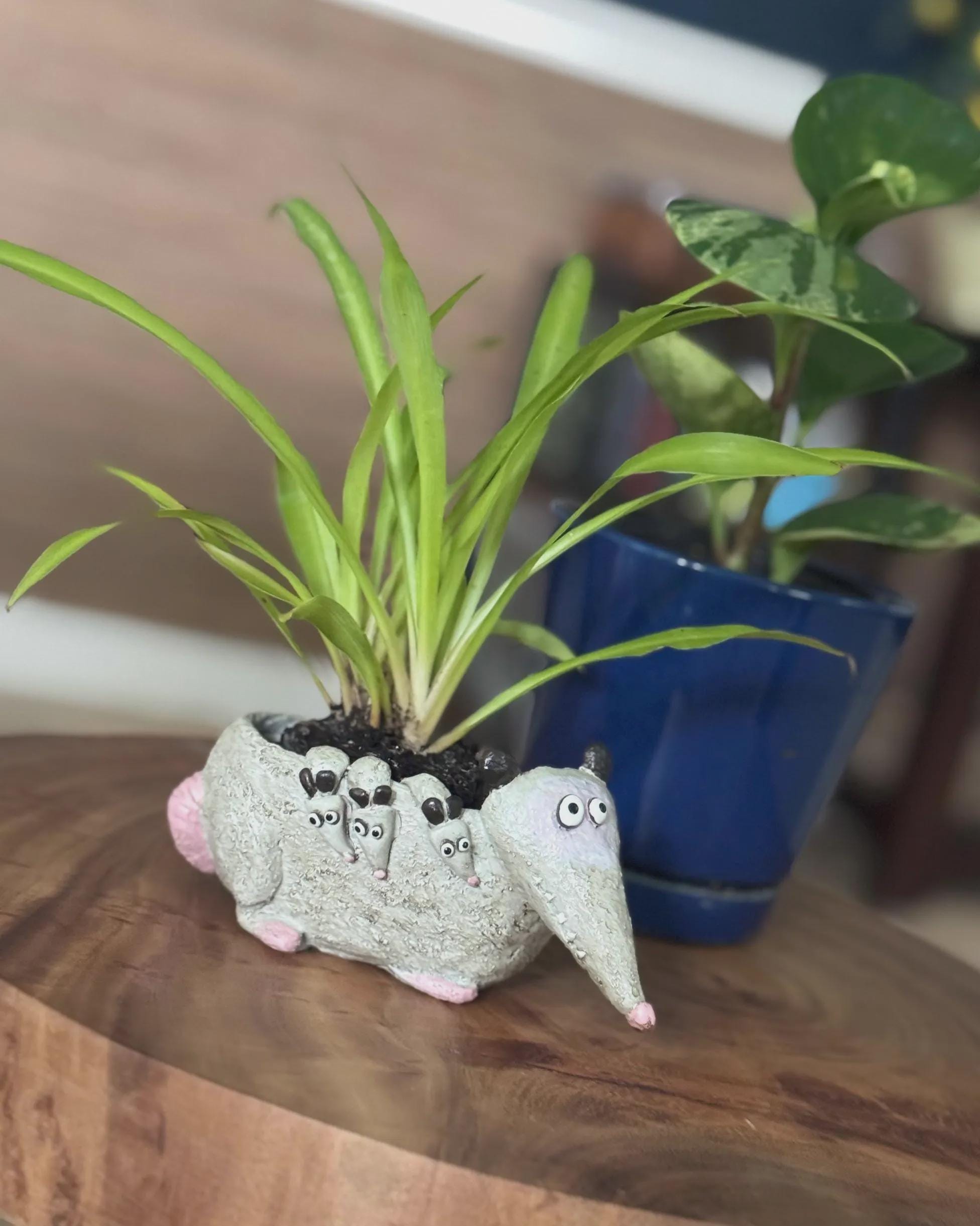 Opossum Planter | Small Succulent Pot