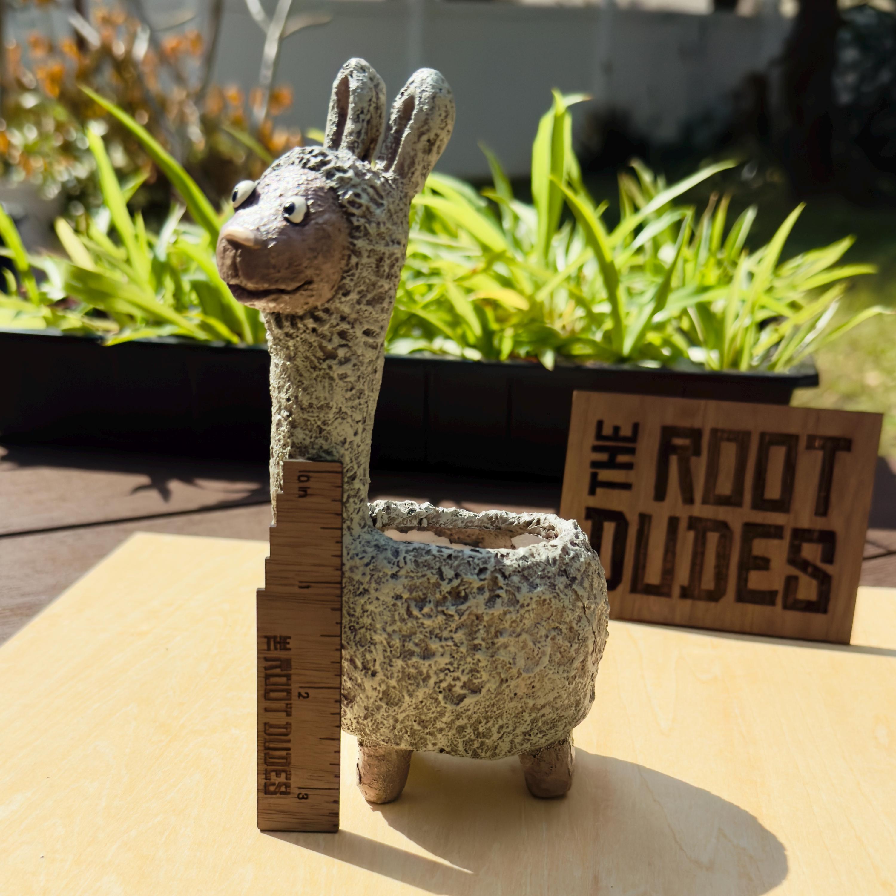 Dolly the Llama Planter | Small Succulent Pot