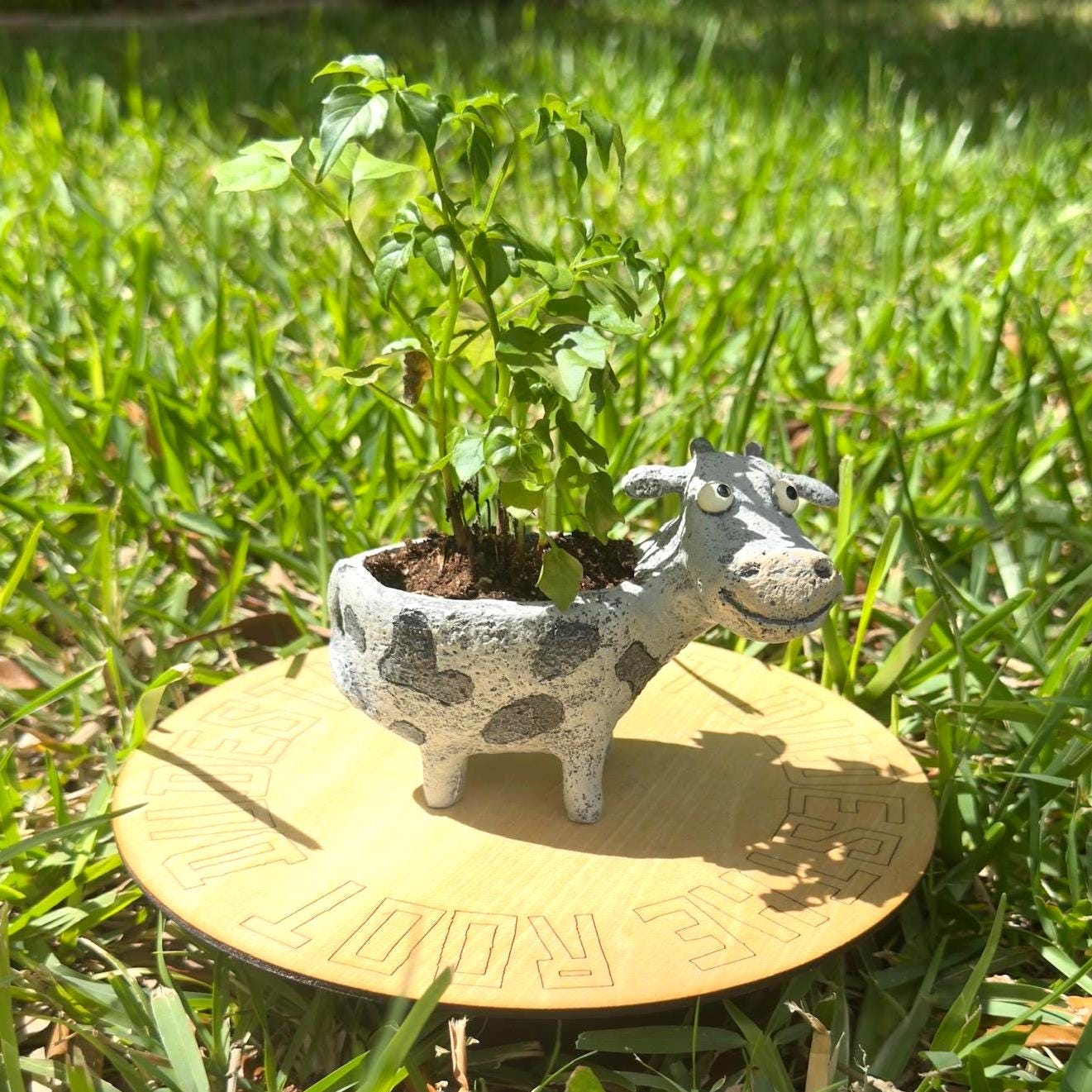 Cow Planter | Small Animal Plant Pot | Succulent Pot | Desk Decor Gift