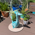 Blue dragon-shaped planter with plants on a wooden table