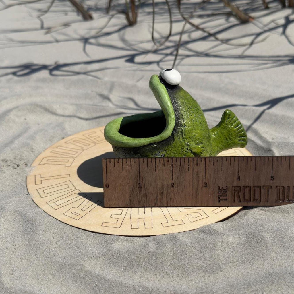 Bubba the Bass Planter | Funny Fish Indoor Planter Pot