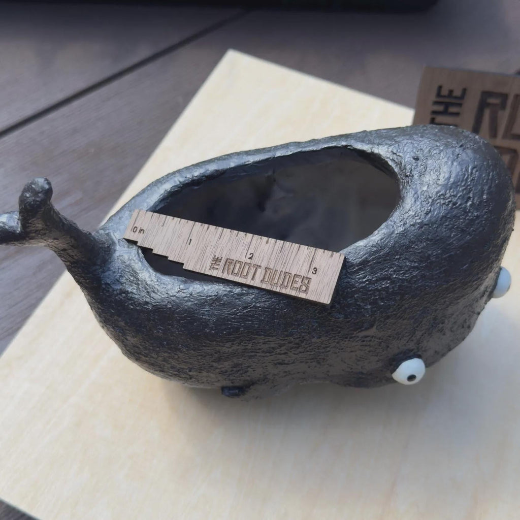 Whale Planter |  Succulent Pot