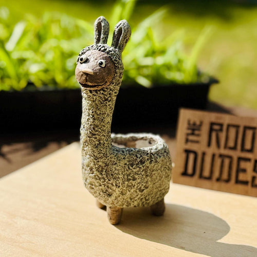Dolly the Llama Planter | Small Succulent Pot