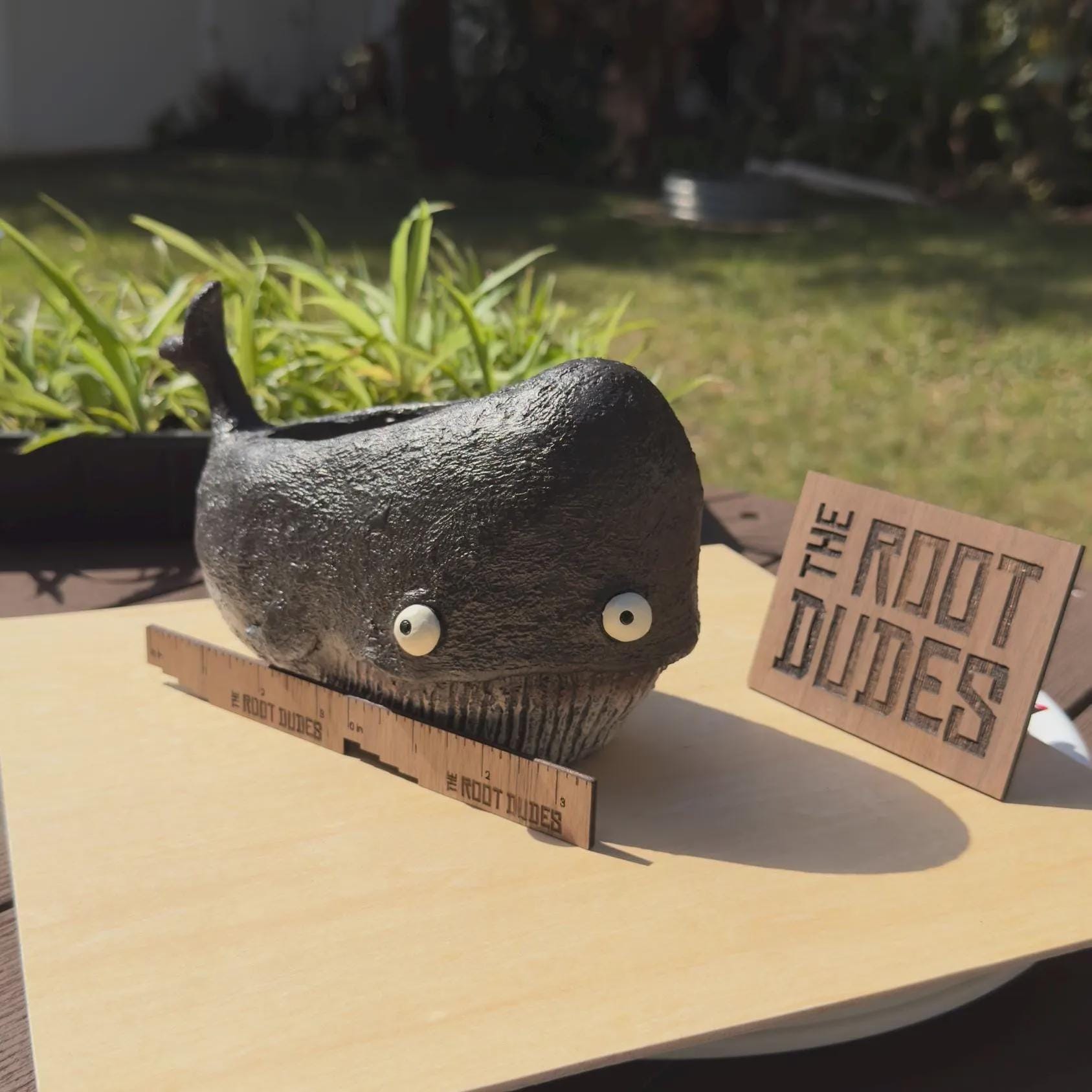 Whale Planter |  Succulent Pot