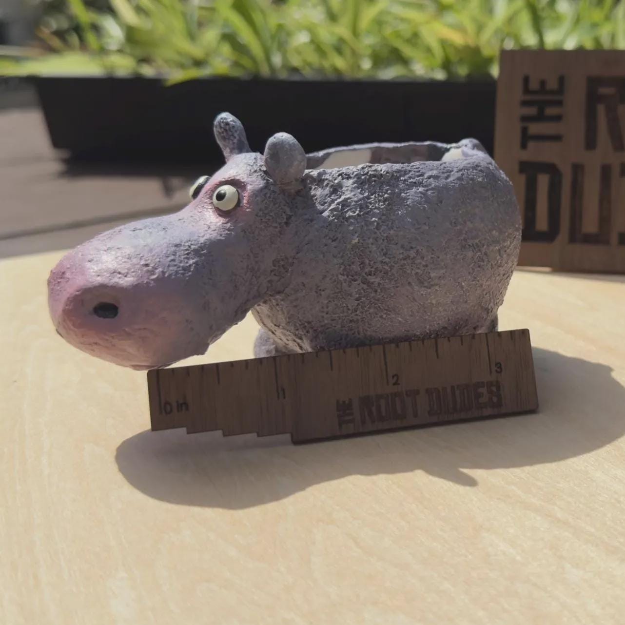 Hippo Planter | Succulent Pot
