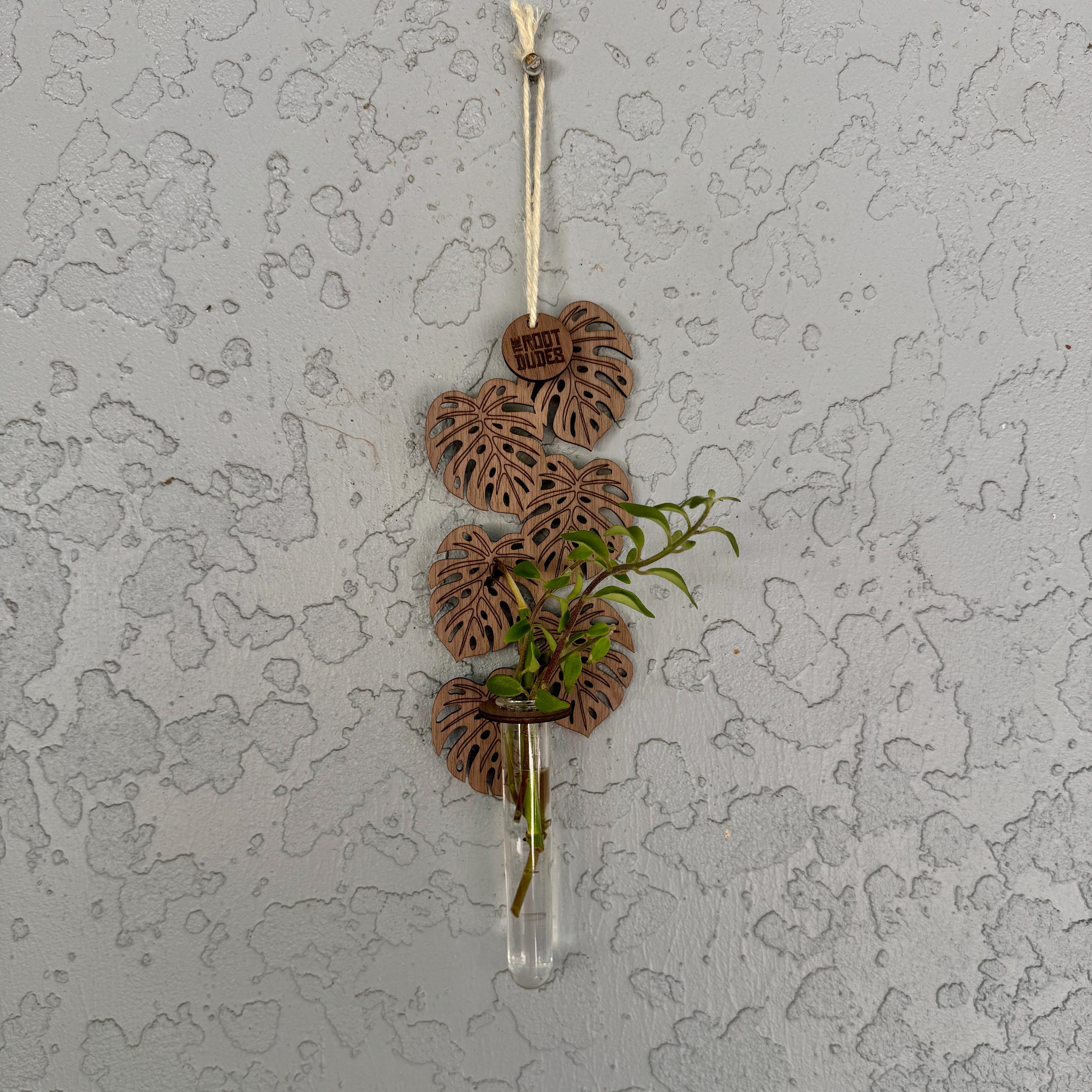 Monstera Leaf Propagation Station | Walnut Wood Wall Planter | Boho Plant Decor