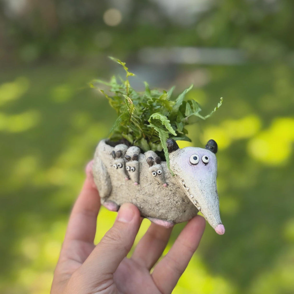 Opossum Planter | Small Succulent Pot