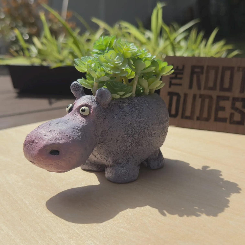 Hippo Planter | Succulent Pot