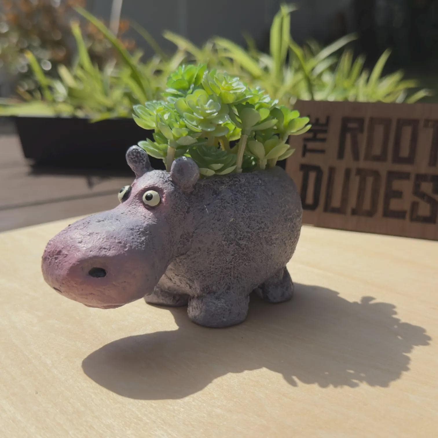 Hippo Planter | Succulent Pot