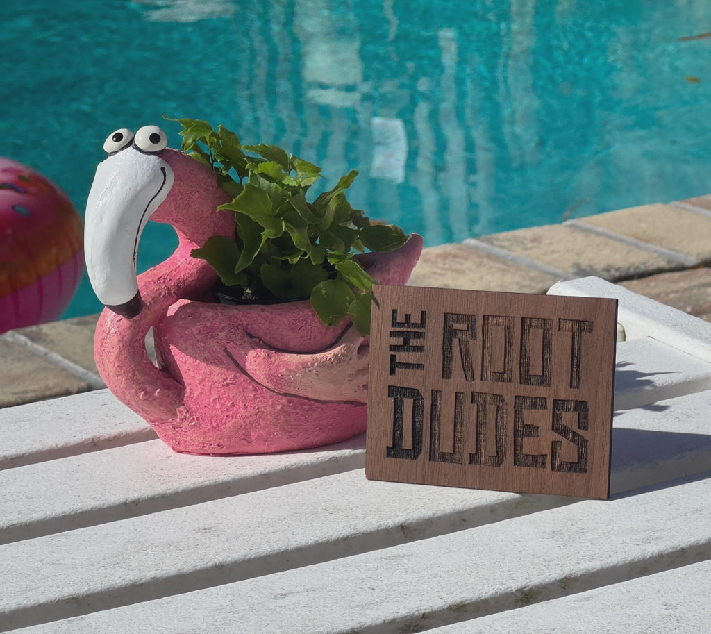 Pink Flamingo Planter | Succulent Plant Pot