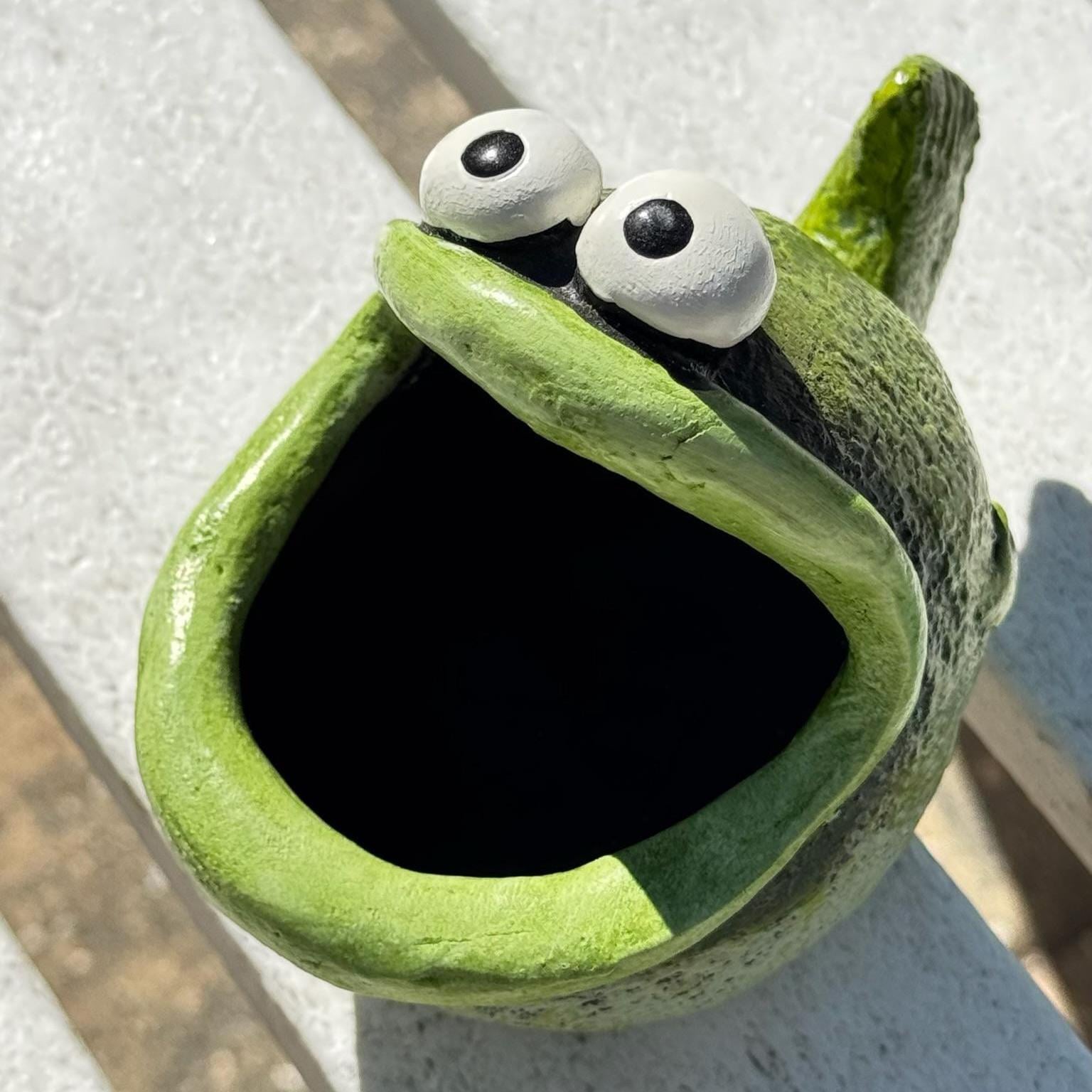 Bubba the Bass Planter | Funny Fish Indoor Planter Pot