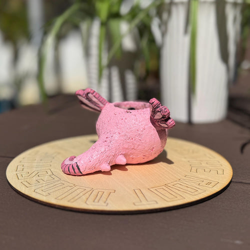 Axolotl Succulent Planter | Small Animal Plant Pot