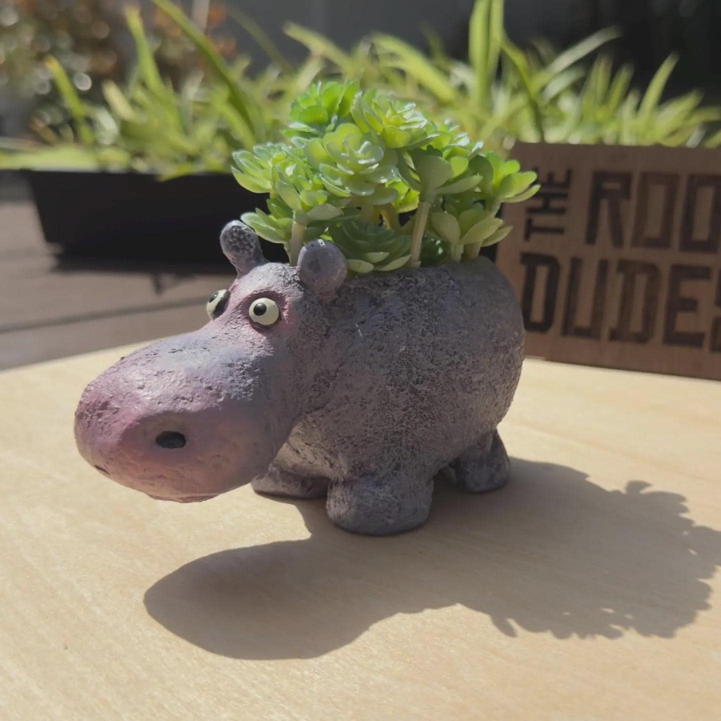 Hippo Planter | Succulent Pot