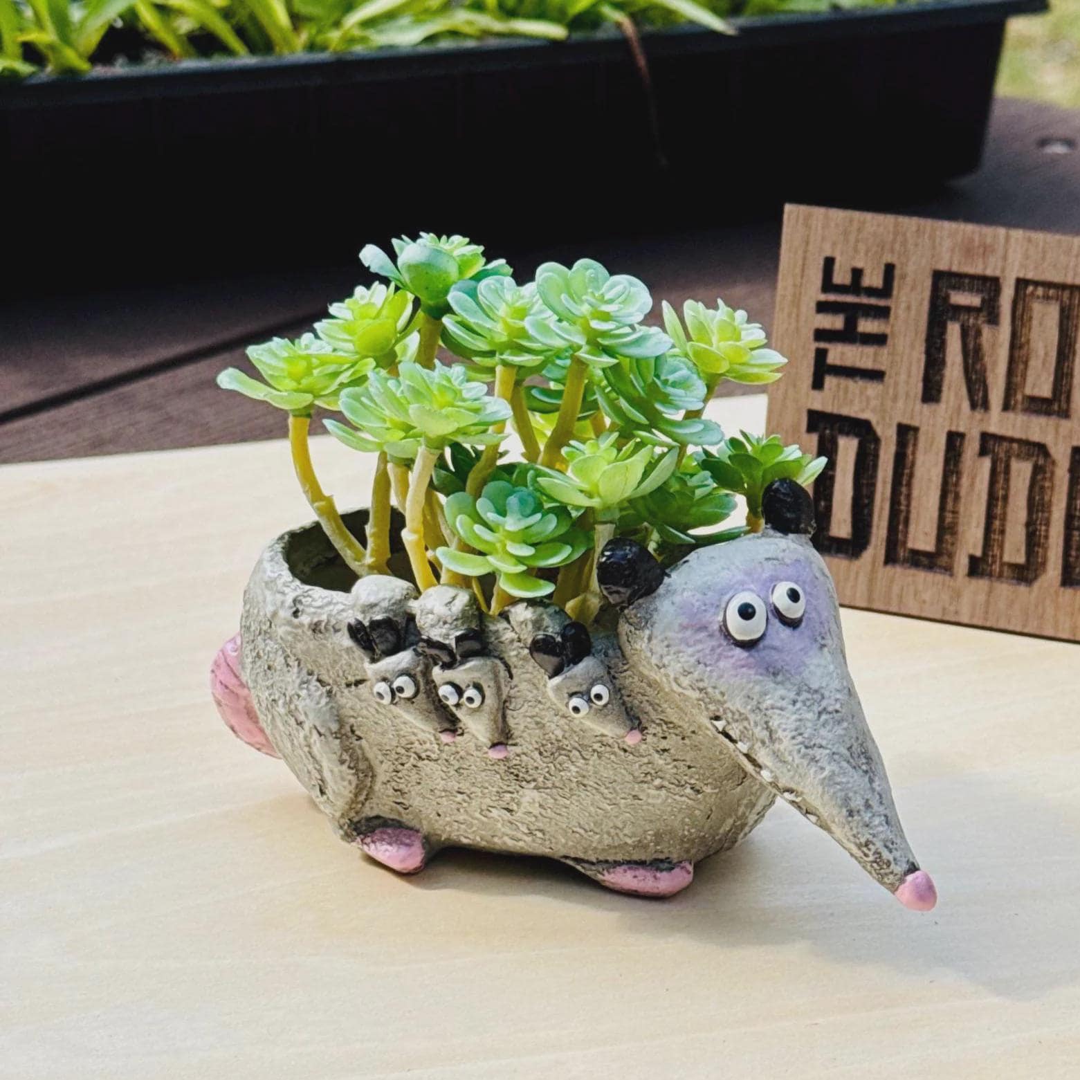 Opossum Planter | Small Succulent Pot