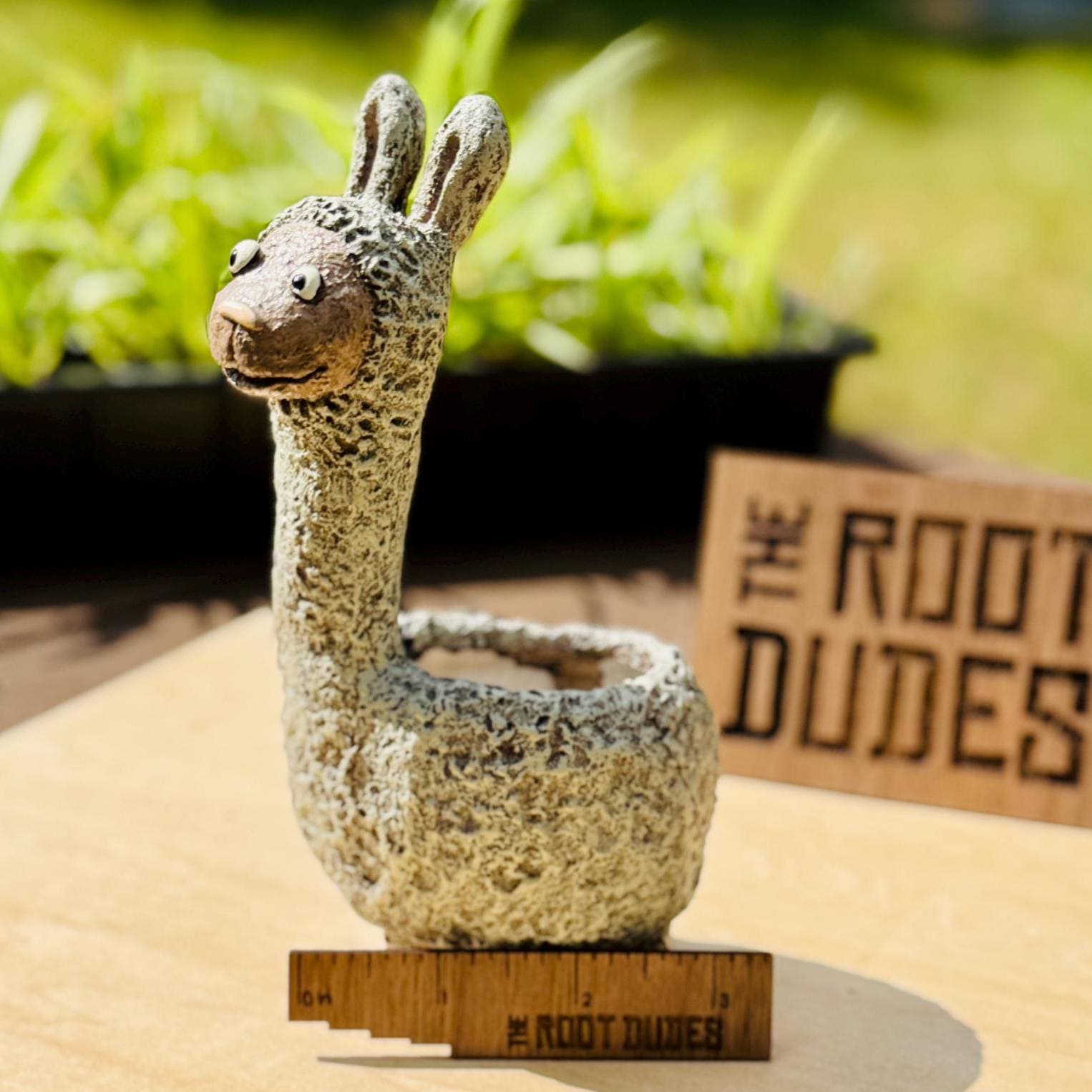 Dolly the Llama Planter | Small Succulent Pot