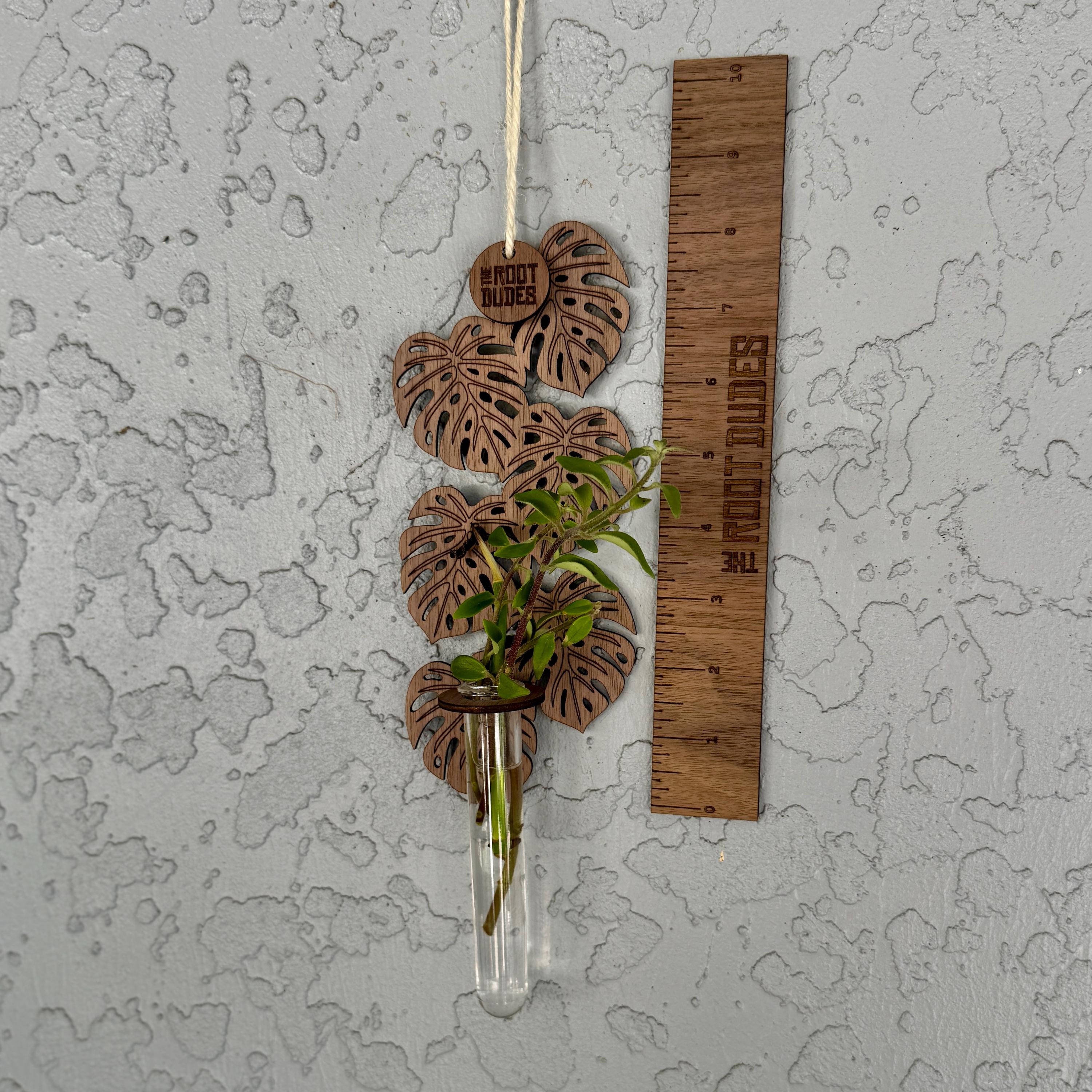 Monstera Leaf Propagation Station | Walnut Wood Wall Planter | Boho Plant Decor