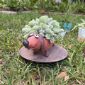 Dachshund Dog Planter | Dobby Doxin Plant Pot