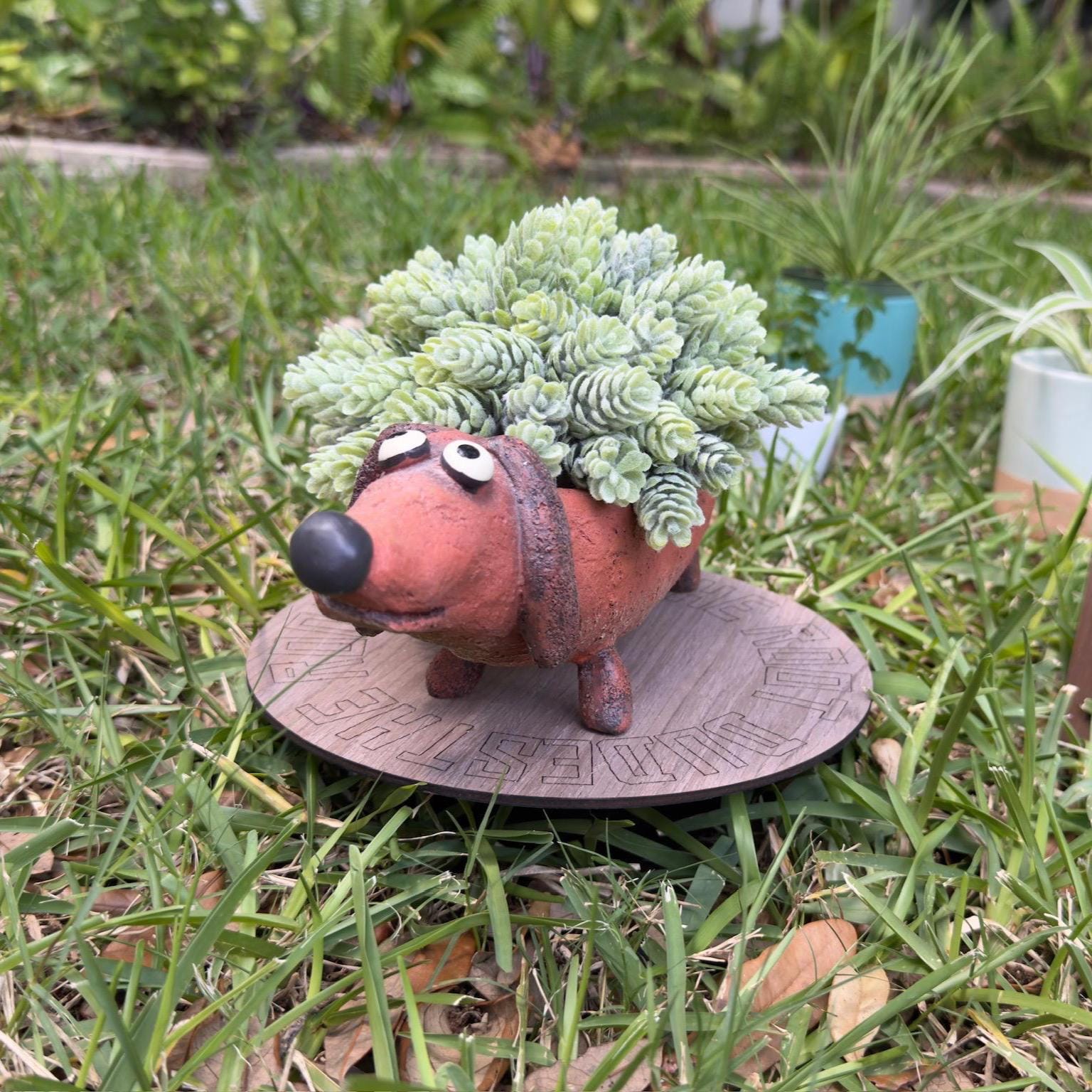 Dachshund Dog Planter | Dobby Doxin Plant Pot