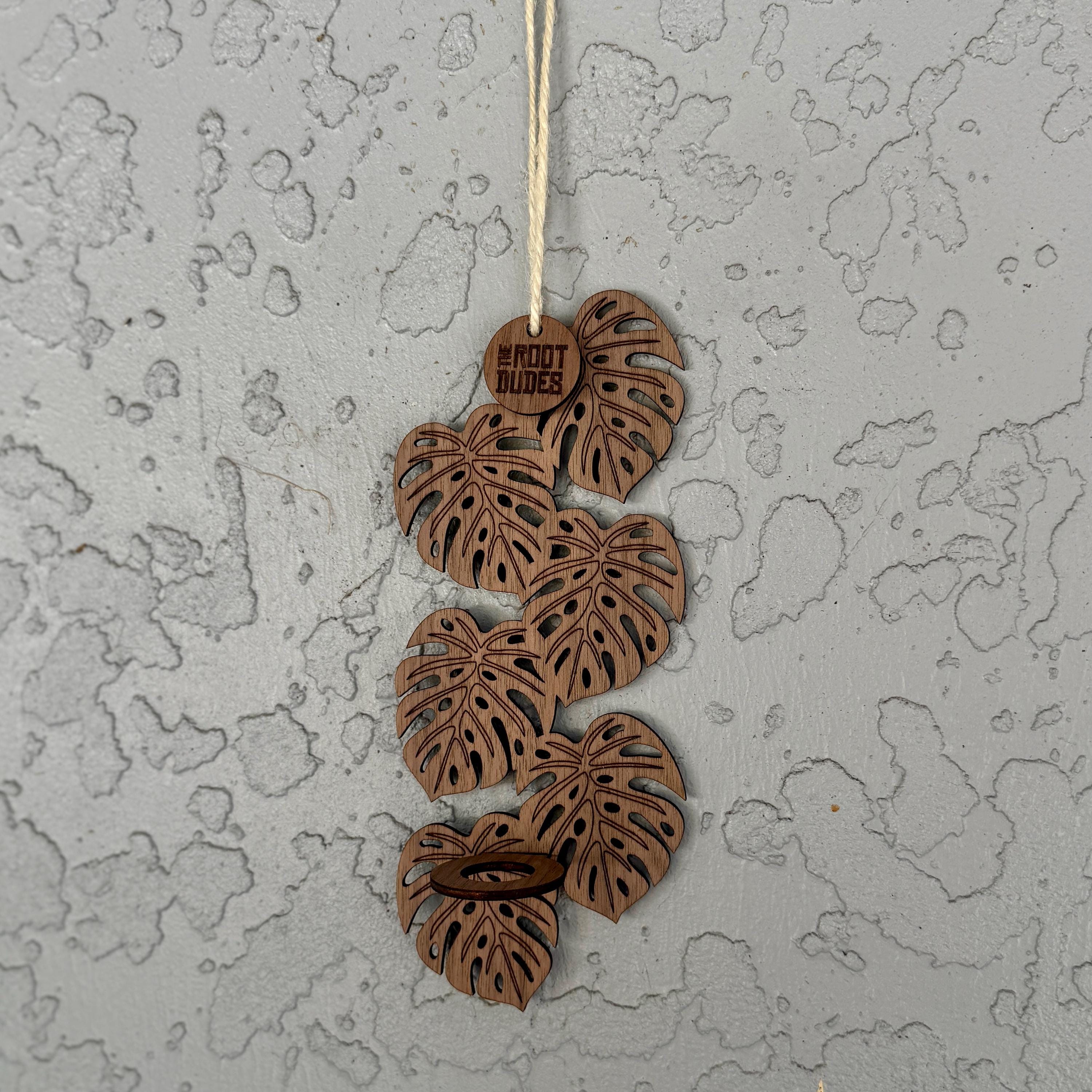Monstera Leaf Propagation Station | Walnut Wood Wall Planter | Boho Plant Decor