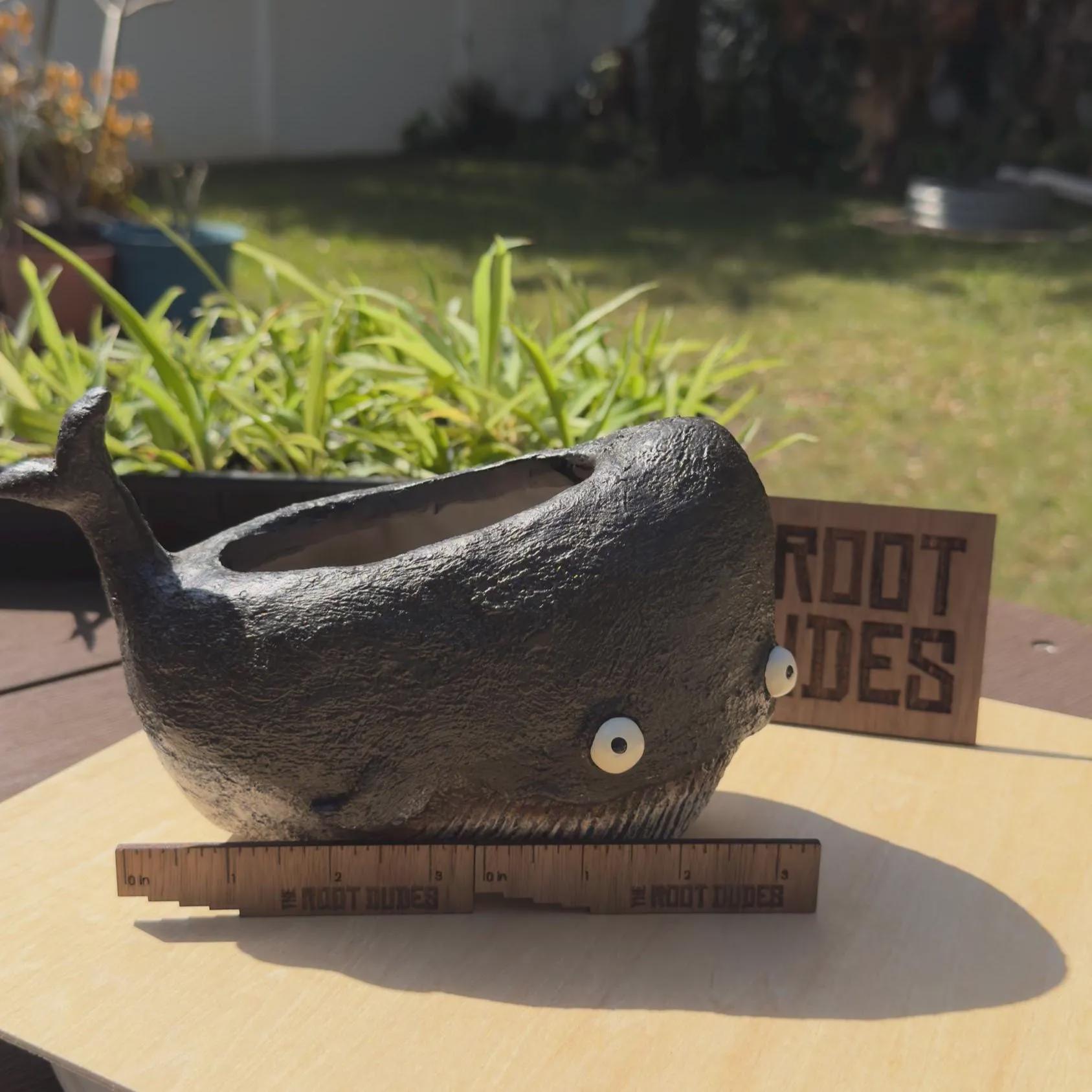 Whale Planter |  Succulent Pot