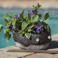 Whale Planter |  Succulent Pot