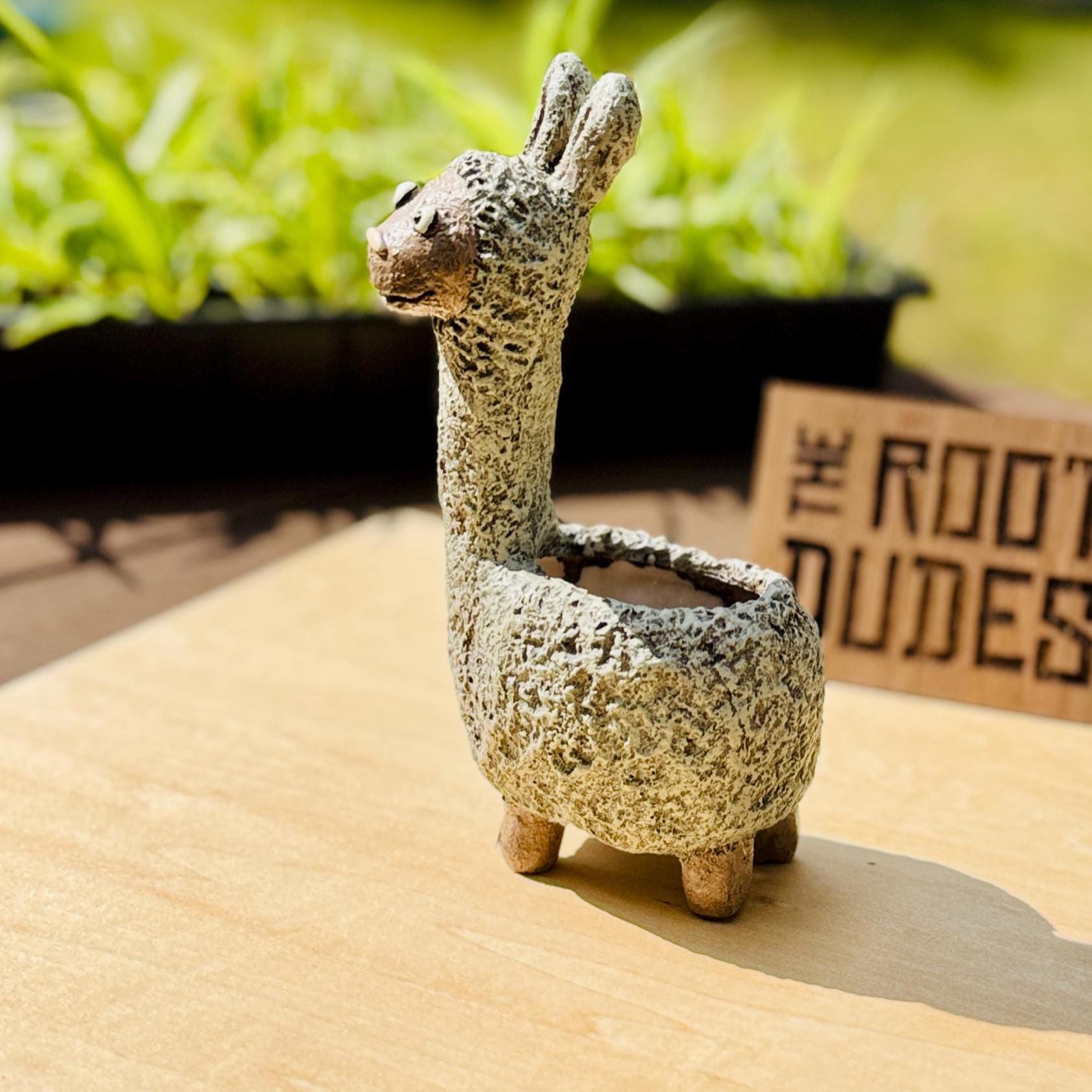 Dolly the Llama Planter | Small Succulent Pot