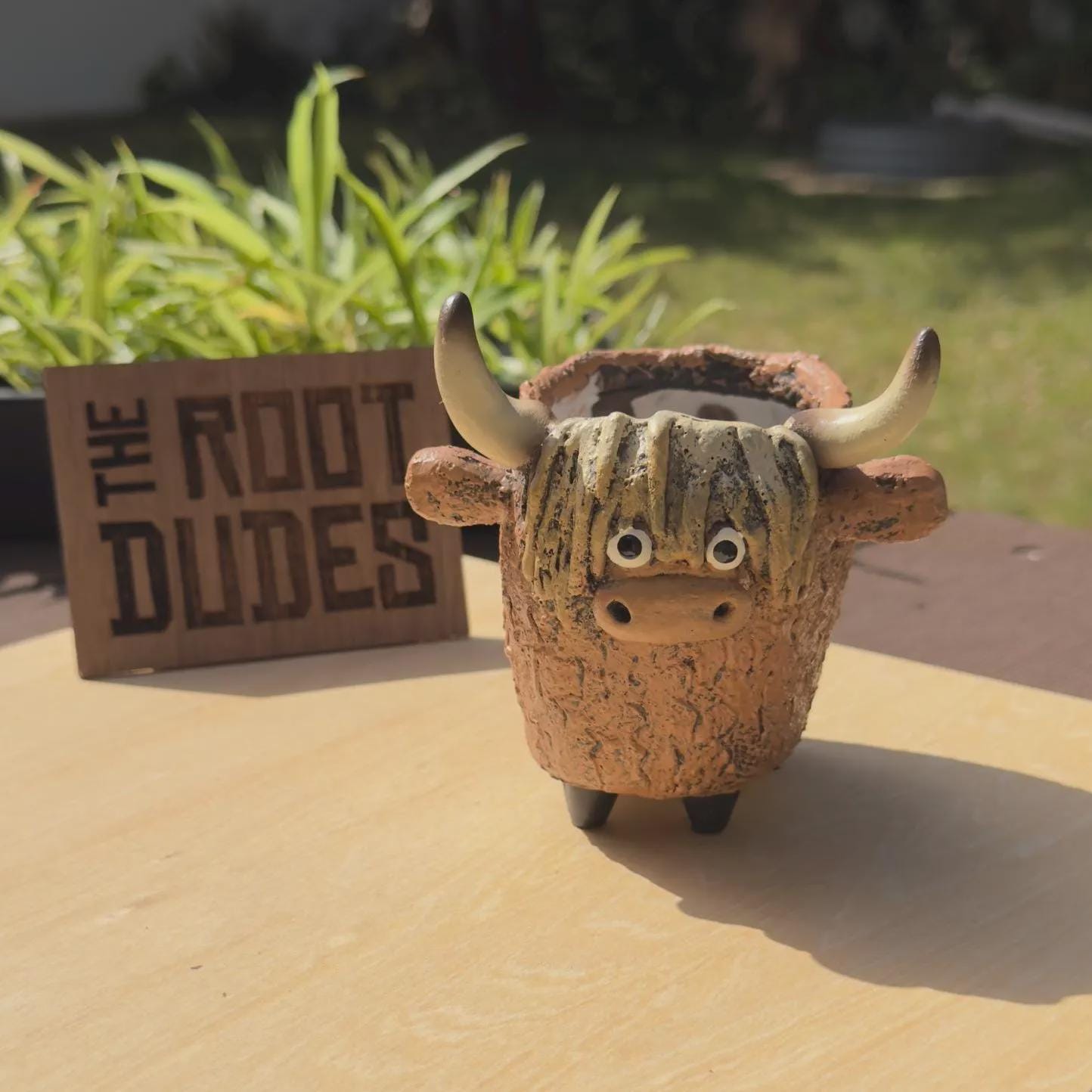 Highland Cow Planter | Succulent Pot