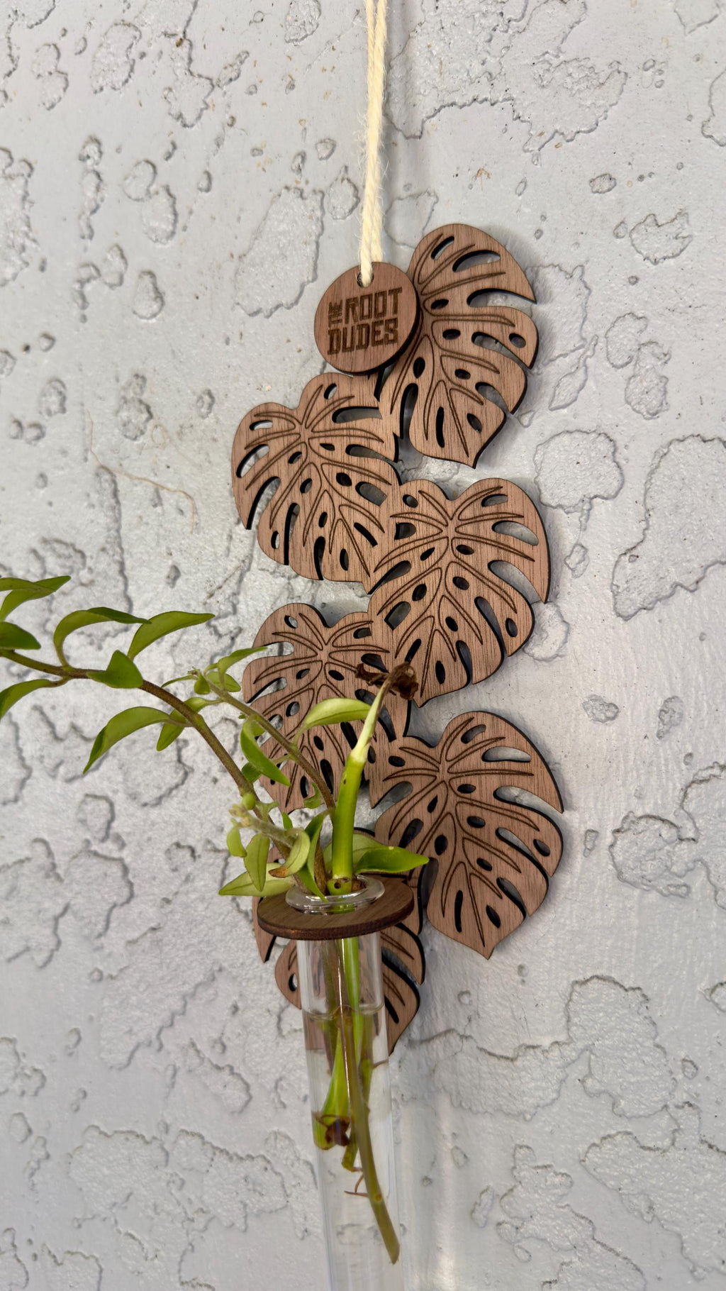 Monstera Leaf Propagation Station | Walnut Wood Wall Planter | Boho Plant Decor