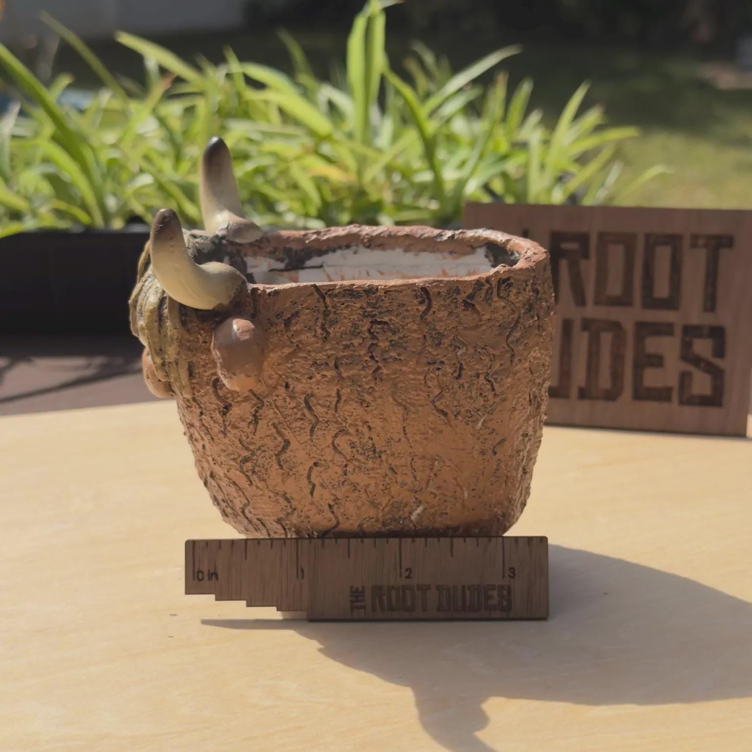 Highland Cow Planter | Succulent Pot