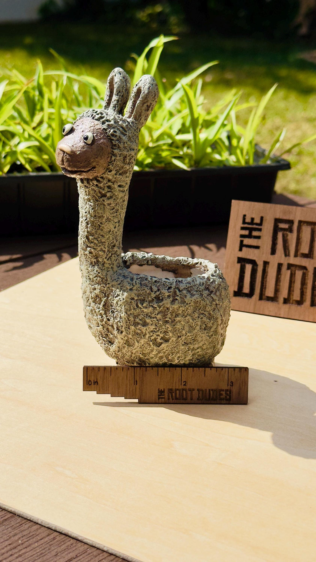 Dolly the Llama Planter | Small Succulent Pot
