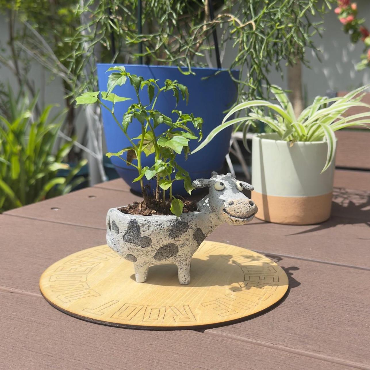 Cow Planter | Small Animal Plant Pot | Succulent Pot | Desk Decor Gift