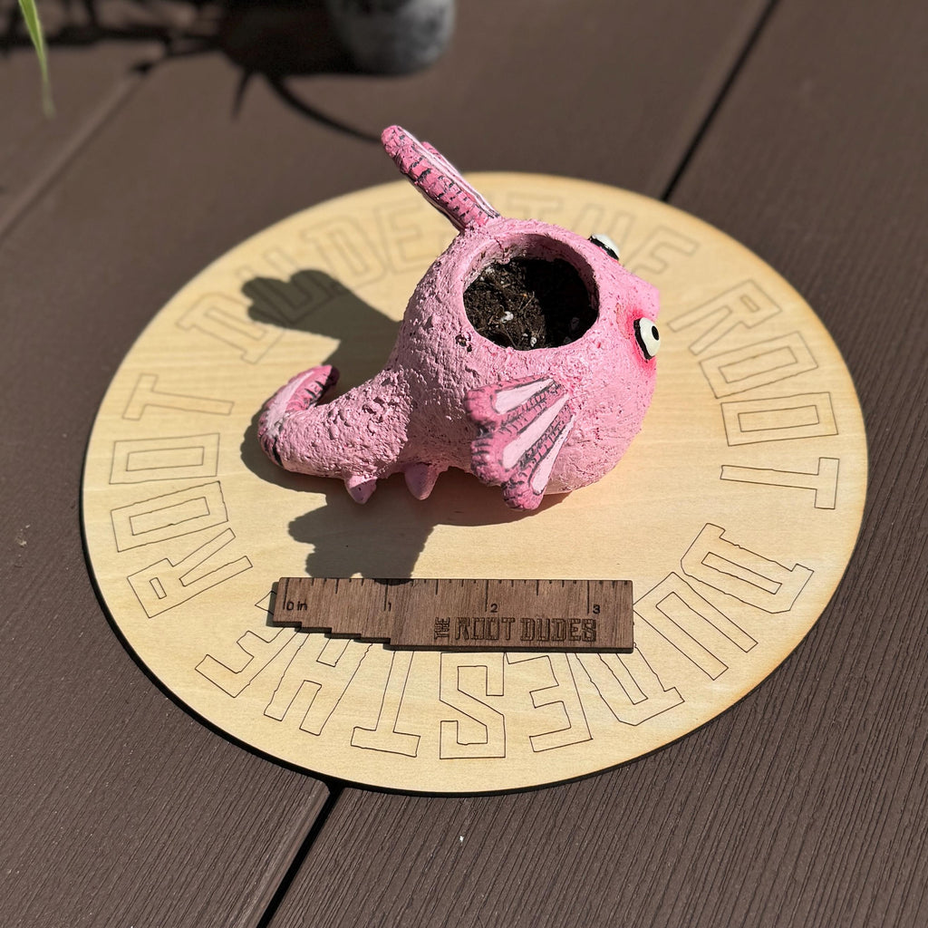 Axolotl Succulent Planter | Small Animal Plant Pot