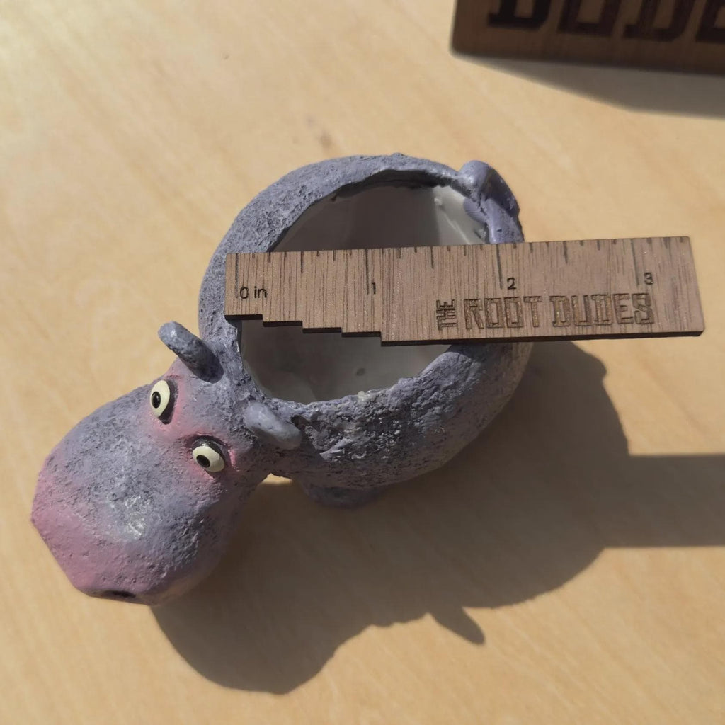 Hippo Planter | Succulent Pot