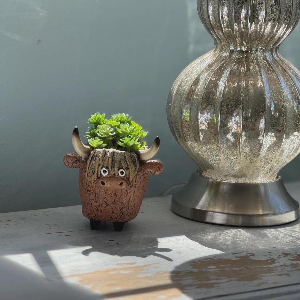 Highland Cow Planter | Succulent Pot