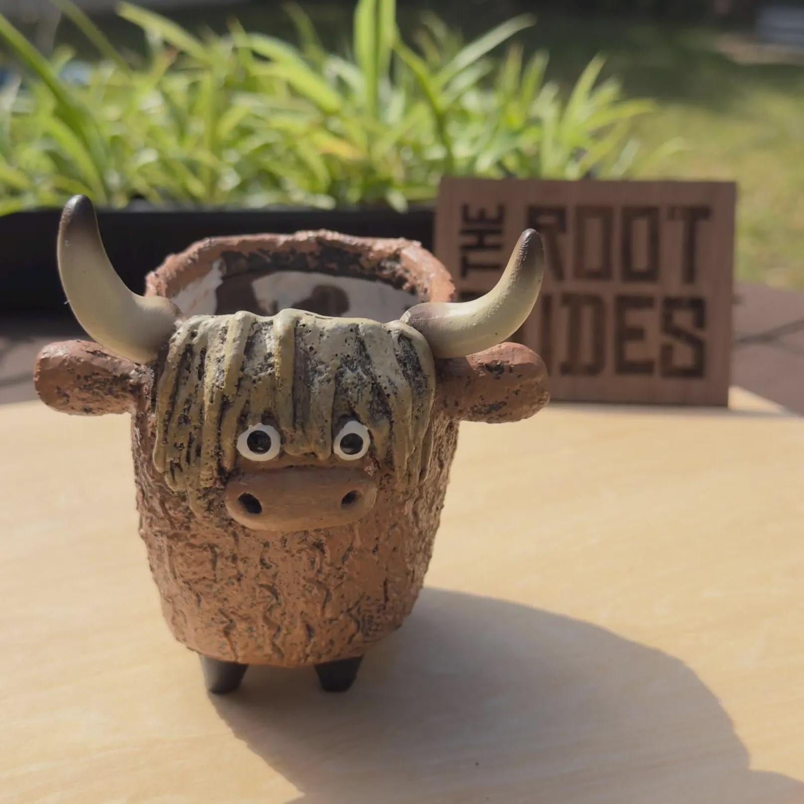 Highland Cow Planter | Succulent Pot
